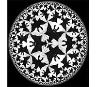 ZZYGGN GMGSW Cada vez más pequeño de M.C. Escher Pintura sobre lienzo Arte vintage de murciélago en la pared Impresiones abstractas Póster de M.C Escher para decoración del hogar 50x50cm Sin marco