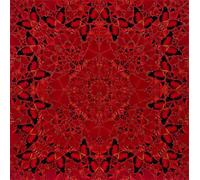 ZZYGGN GMGSW Círculo de mariposas rojas por Damien Hirst Póster Pop abstracto de pared Imagen de Damien Hirst Grabados Pintura estética para decoración del hogar 50x50cm Sin marco