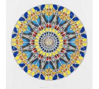 ZZYGGN GMGSW Círculo mariposa de Damien Hirst Póster Pop Arte abstracto en la pared Imagen de Damien Hirst Grabados Pintura estética para decoración de habitaciones 50x50cmx1 Sin marco