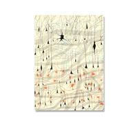 ZZYGGN GMGSW Dibujo Neurona Santiago Ramón Y Cajal Póster Dibujo Neurona Impresiones Vintage Santiago Ramón Y Cajal Lienzo Pintura Arte Mural Decoración 50x70cmx1 Sin Marco