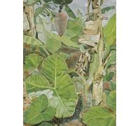 ZZYGGN GMGSW Lucian Freud《Plantas en Jamaica》Cartel estético de lienzo Arte mural Lucian Freud Grabados retro para decoración 40x55cmx1 Sin marco