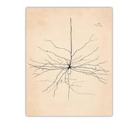 ZZYGGN GMGSW Santiago Ramón Y Cajal Neuron Dibujo Póster Y Grabados Arte De Pared Vintage Santiago Ramón Y Cajal Pintura En Lienzo Decoración del Hogar Arte De Pared 40x60cm Sin Marco